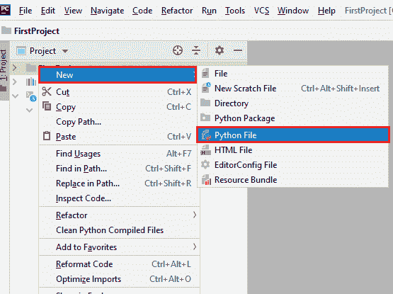 First Python Program